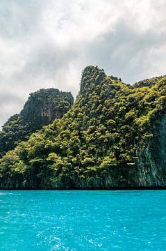 Thailand Paradijs van Ronald Looijestijn
