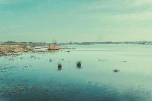 Vreugderijkerwaard Zwolle