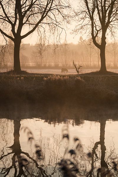 Het Gouden Uur by Jonas Keppens