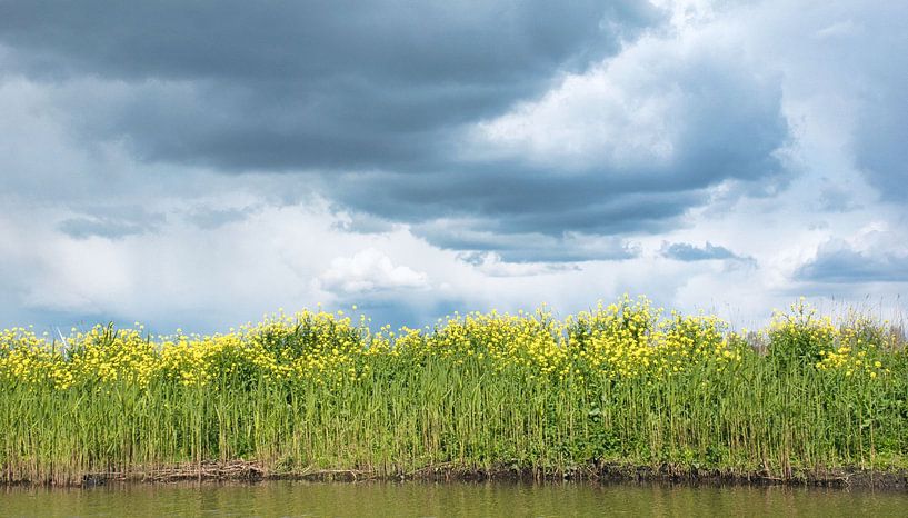 Mooie contrasten. Bestel max 120 van Natuurpracht   Kees Doornenbal