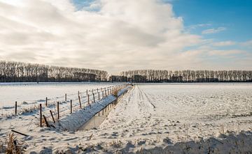 Typische niederländische Polderlandschaft im Winter