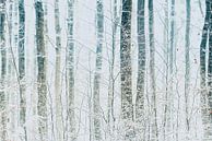 Sneeuw in het bos van Rik Verslype thumbnail