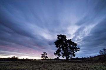 Lever de soleil sur le domaine de Heidestein Bornia. sur Peter Haastrecht, van