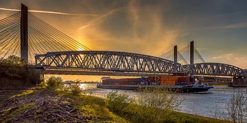 Bommelse brug van Jochem van der Blom