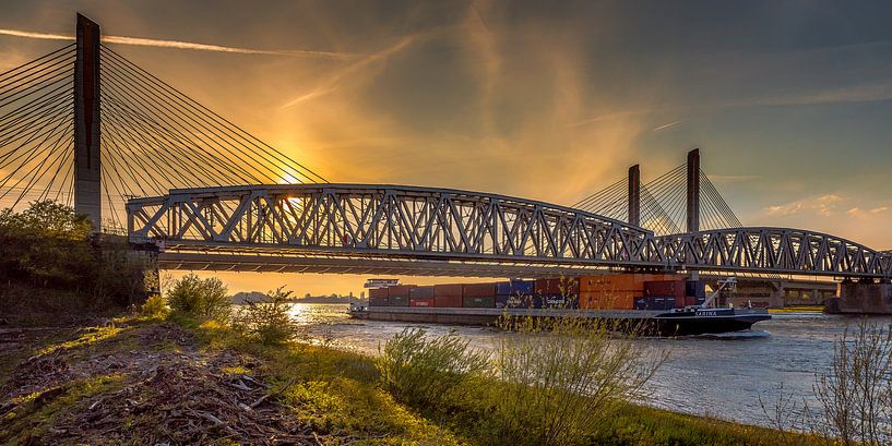 Bommelse brug by Jochem van der Blom