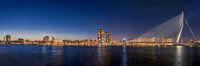 Panorama Rotterdam van Patrick Herzberg thumbnail