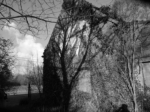 Ghost house