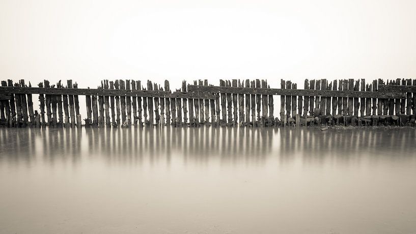 Das Wasser gewinnt... von robert wierenga