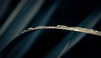 Raindrops