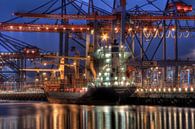 Hamburg - Kleines Containerschiff am Burchardkai von Sabine Wagner Miniaturansicht