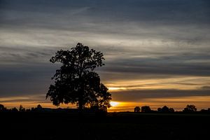 Coucher de soleil