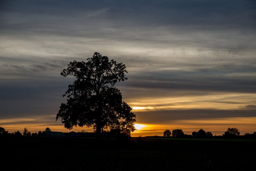 Sunset by Ronald De Neve