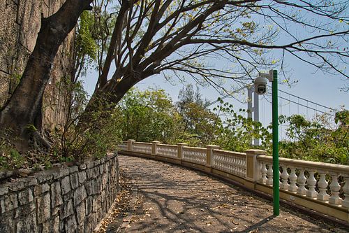 Walking up to the Lantau Link viewing point