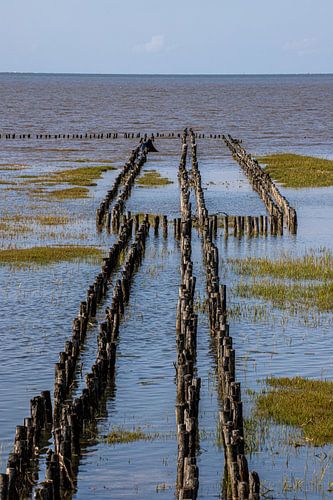Au large de la presqu'île d'Eiderstedt