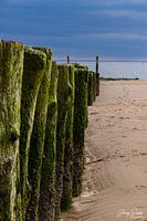 Postes au bord de la mer