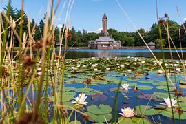 Jagdhaus Sint Hubertus von Merijn Loch