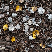 a hint of yellow