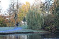 In het park