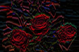 FLORA : ABSTRAKT - ROSEN ZUM HOCHZEITSTAG von Photoart-Naegele