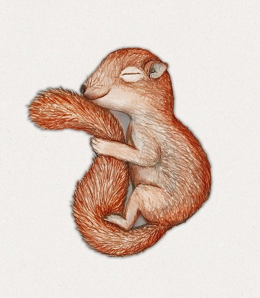 Squirrel in hibernation by Bianca Wisseloo