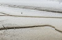 Mud grooves at the beach and shallow waters of the Atlantic Ocea by Werner Lerooy thumbnail