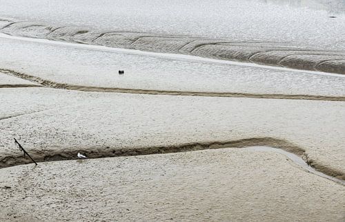 Mud grooves at the beach and shallow waters of the Atlantic Ocea