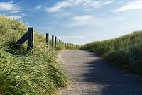 Kustpad door de duinen op Baltrum 2