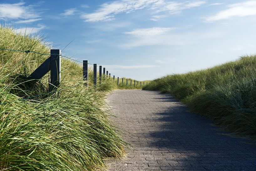 Coastal path through the dunes on Baltrum 2 by Anja B. Schäfer