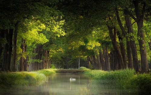 Now That We Found Love