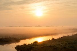 Meadow at atmospheric sunrise