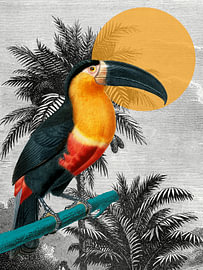 the Vintage Tropical Toucan
