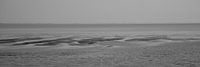 Wadden Sea