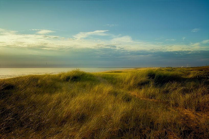 Noordzee von Ron Hoefs