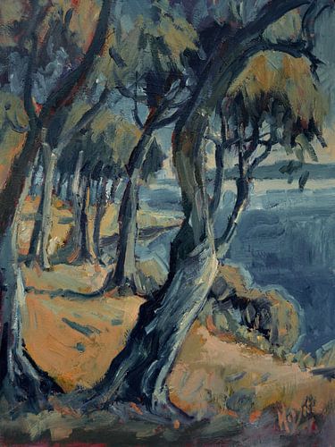 Zicht op Corfu van Nop Briex