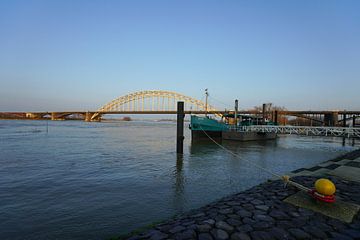 Hoogwater in de Waal bij Nijmegen van Alice Berkien-van Mil