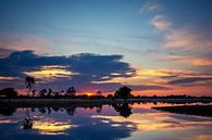 Reflectie bij Zonsondergang Kampina van Ronne Vinkx thumbnail