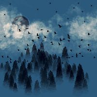 Paysage de sapins dans la nuit