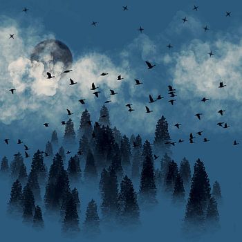 Sparrenlandschap bij nacht