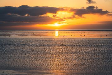 Sonnenuntergang über der Nordsee, Ostfriesland von Catrin Grabowski