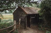 Vogelkijkhut in Pulborough | Reisfotografie fine art foto print | Engeland, UK van Sanne Dost thumbnail