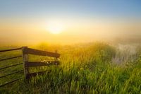 Sunrise over the Wieden on a beautiful misty spring morning.