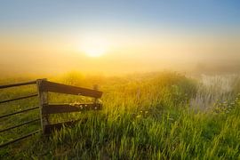 Sunrise over the Wieden on a beautiful misty spring morning. by Bas Meelker