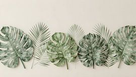 Monstera und Palmwedel in Jadegrün von Kristin M