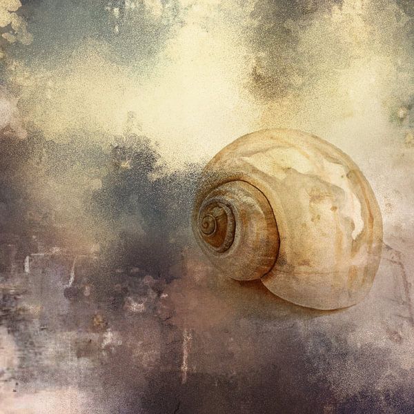 Shell by Yolanda Bruggeman