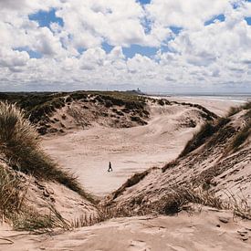 Strand & duinen, Bloemendaal aan Zee van Rob van Dongen