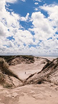 Strand & duinen, Bloemendaal aan Zee van Rob van Dongen