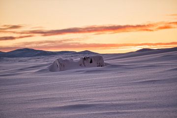 Standbeeld van Finnmark van Kai Müller