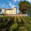 Château médiéval avec vignobles en France sur Silva Wischeropp
