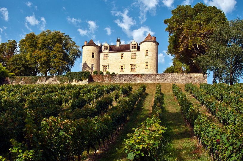 Mittelalterliches Schloss mit Weinbergen in Frankreich von Silva Wischeropp