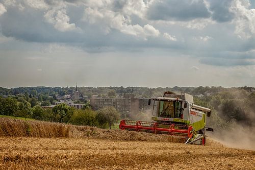 Oogst binnenhalen bij Simpelveld